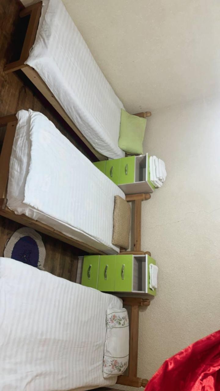 Rozalinda Guesthouse Naryn المظهر الخارجي الصورة